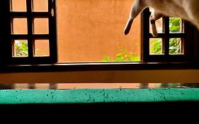 Guaru Surf Hostel